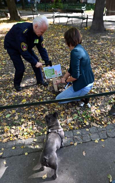 „Nie KUPuj trawy, sprzątaj po swoim psie!” Ta akcja będzie skuteczna? - zdjęcie 3