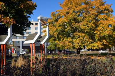 Piękna jesień w Krakowie nabiera kolorów - zdjęcie 3