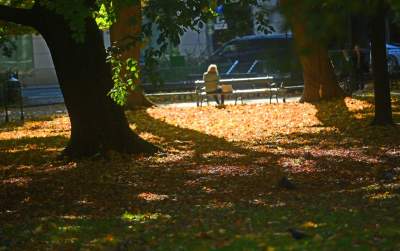 Piękna jesień w Krakowie nabiera kolorów - zdjęcie 27