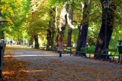 Piękna jesień w Krakowie nabiera kolorów - zdjęcie 19