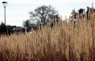Piękna jesień w Krakowie nabiera kolorów - zdjęcie 11
