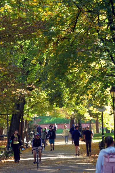 Piękna jesień w Krakowie nabiera kolorów - zdjęcie 20