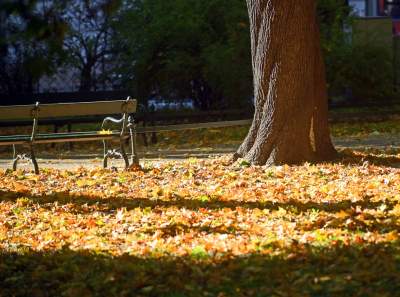Piękna jesień w Krakowie nabiera kolorów - zdjęcie 22