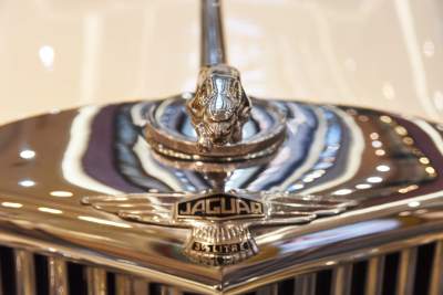 Po prostu Jaguar: jedyna taka wystawa w Polsce - zdjęcie 14