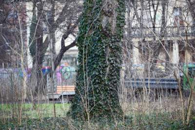 Park odzyskany przez miasto, ostatnie porządki przed otwarciem - zdjęcie 14