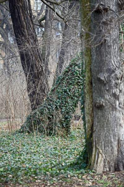 Park odzyskany przez miasto, ostatnie porządki przed otwarciem - zdjęcie 18