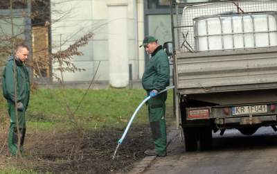 Park odzyskany przez miasto, ostatnie porządki przed otwarciem - zdjęcie 8