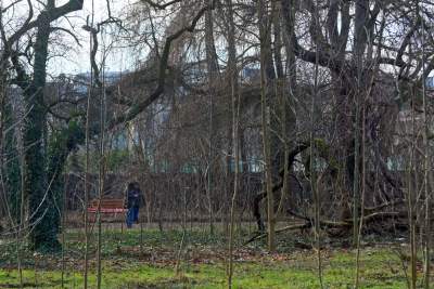 Park odzyskany przez miasto, ostatnie porządki przed otwarciem - zdjęcie 26
