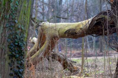 Park odzyskany przez miasto, ostatnie porządki przed otwarciem - zdjęcie 25