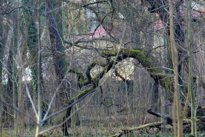 Park odzyskany przez miasto, ostatnie porządki przed otwarciem - zdjęcie 27