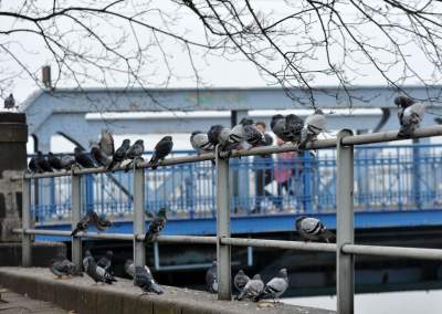 Na tym moście wiele się działo, były sceny radosne, ale i dramatyczne - zdjęcie 5