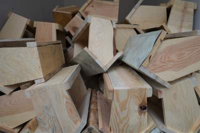 Tłumy pod magistratem. 1000 budek rozeszło się błyskawicznie - zdjęcie 7