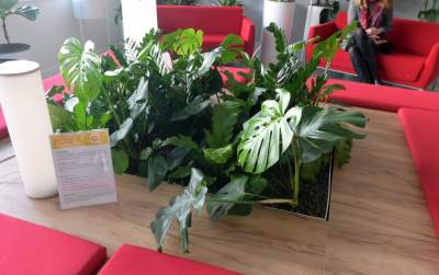 Shell znów rekrutuje. To tu będą pracować nowi zatrudnieni - zdjęcie 14