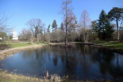 W Krakowie tutaj wiosnę znajdziecie najwcześniej, warto wpaść na chwilę - zdjęcie 16