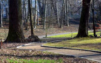 W Krakowie tutaj wiosnę znajdziecie najwcześniej, warto wpaść na chwilę - zdjęcie 29