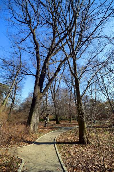 W Krakowie tutaj wiosnę znajdziecie najwcześniej, warto wpaść na chwilę - zdjęcie 22