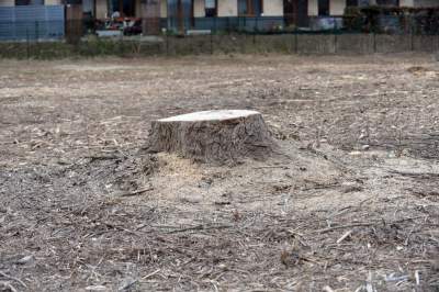 Tyle zostało po Plazie. Ostatni etap rozbiórki - zdjęcie 28