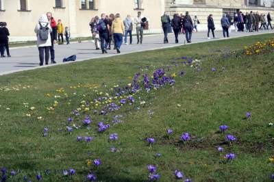 Pierwsze mgnienie wiosny w Krakowie, kto nie poszedł dziś na spacer niech żałuje - zdjęcie 9