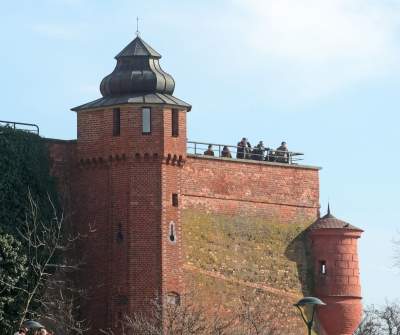 Pierwsze mgnienie wiosny w Krakowie, kto nie poszedł dziś na spacer niech żałuje - zdjęcie 19