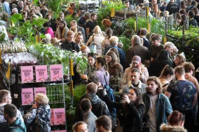 Festiwal roślin w Krakowie, zielone szaleństwo opanowało miasto - zdjęcie 11