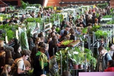 Festiwal roślin w Krakowie, zielone szaleństwo opanowało miasto - zdjęcie 9