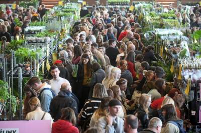 Festiwal roślin w Krakowie, zielone szaleństwo opanowało miasto - zdjęcie 8