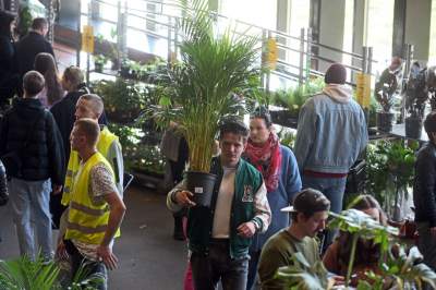 Festiwal roślin w Krakowie, zielone szaleństwo opanowało miasto - zdjęcie 12