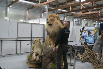 Targi Łowiectwa EXPO HUNT w Krakowie, tak wygląda ekspozycja - zdjęcie 12