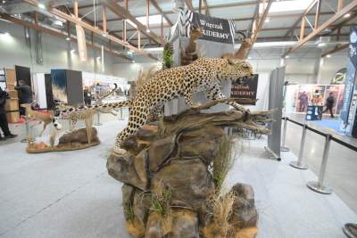 Targi Łowiectwa EXPO HUNT w Krakowie, tak wygląda ekspozycja - zdjęcie 11
