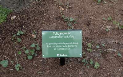 Park Bednarskiego tętni życiem, udana rewitalizacja - zdjęcie 11