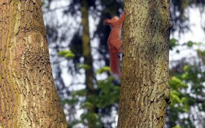 Park Bednarskiego tętni życiem, udana rewitalizacja - zdjęcie 26