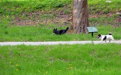 Park Bednarskiego tętni życiem, udana rewitalizacja - zdjęcie 25