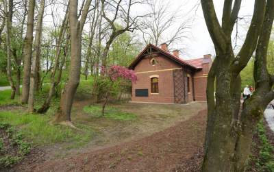 Park Bednarskiego tętni życiem, udana rewitalizacja - zdjęcie 5