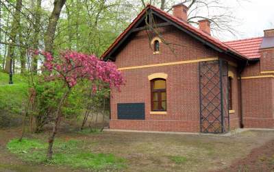 Park Bednarskiego tętni życiem, udana rewitalizacja - zdjęcie 4