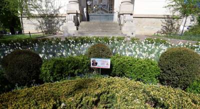 Kraków tonie w kwiatach, prawdopodobnie najładniejsza pora roku w mieście - zdjęcie 26