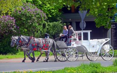 Kraków tonie w kwiatach, prawdopodobnie najładniejsza pora roku w mieście - zdjęcie 19