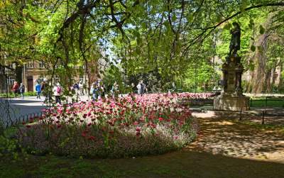 Kraków tonie w kwiatach, prawdopodobnie najładniejsza pora roku w mieście - zdjęcie 17