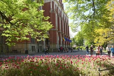 Kraków tonie w kwiatach, prawdopodobnie najładniejsza pora roku w mieście - zdjęcie 18