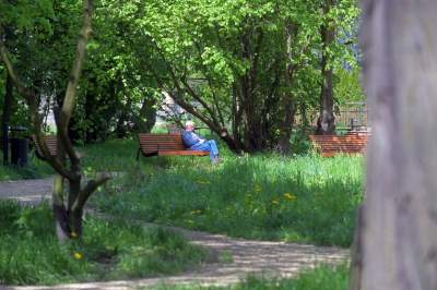 Udany remont "dzikiego" parku, zachowano naturalny charakter - zdjęcie 6