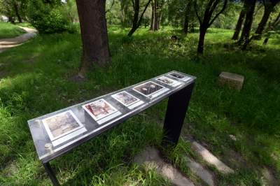 Udany remont "dzikiego" parku, zachowano naturalny charakter - zdjęcie 30