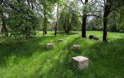 Udany remont "dzikiego" parku, zachowano naturalny charakter - zdjęcie 33