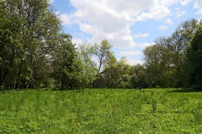 Udany remont "dzikiego" parku, zachowano naturalny charakter - zdjęcie 35