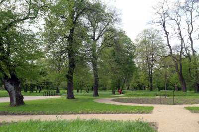 Udany remont "dzikiego" parku, zachowano naturalny charakter - zdjęcie 21