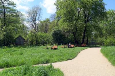 Udany remont "dzikiego" parku, zachowano naturalny charakter - zdjęcie 36