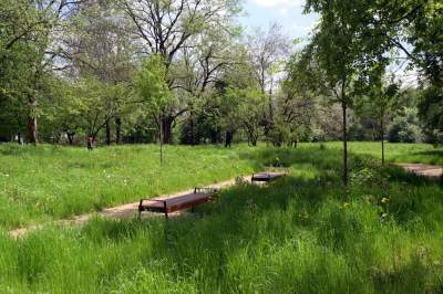 Udany remont "dzikiego" parku, zachowano naturalny charakter - zdjęcie 28