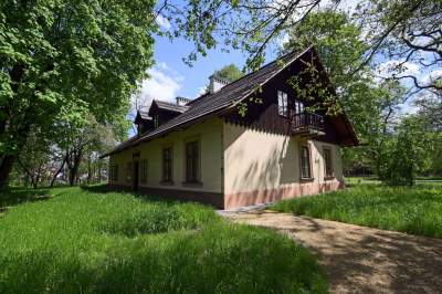 Udany remont "dzikiego" parku, zachowano naturalny charakter - zdjęcie 10