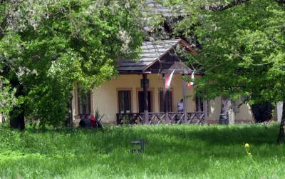 Udany remont "dzikiego" parku, zachowano naturalny charakter - zdjęcie 43