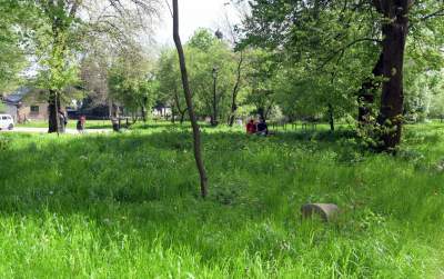 Udany remont "dzikiego" parku, zachowano naturalny charakter - zdjęcie 26