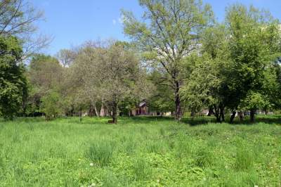 Udany remont "dzikiego" parku, zachowano naturalny charakter - zdjęcie 38