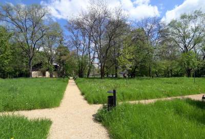 Udany remont "dzikiego" parku, zachowano naturalny charakter - zdjęcie 25